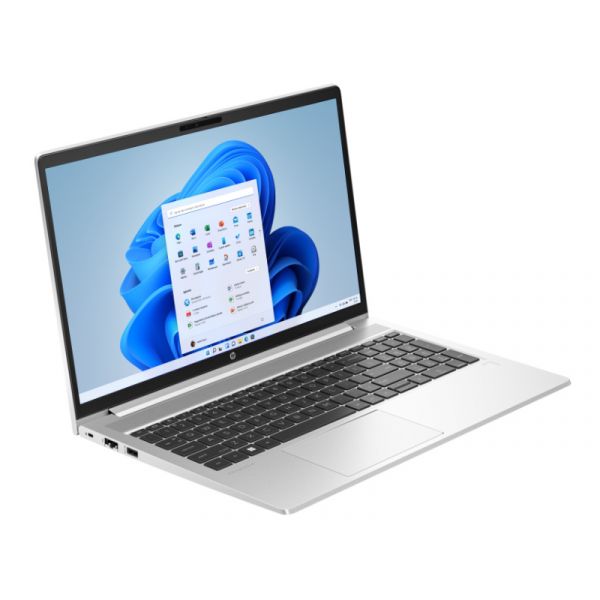 HP ProBook 455 G10 (85B23EA) Halszürke alumínium